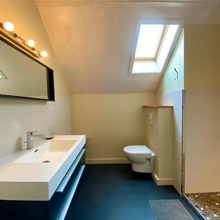 Chalet Les D'arrens Arrens-Marsous