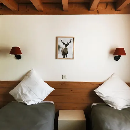 Chalet Les D'arrens Arrens-Marsous